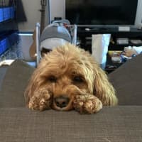 Photo of Winston Quinell