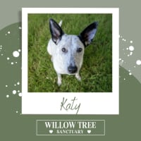 Photo of Katy