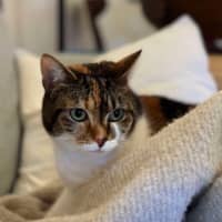 Photo of Mila 