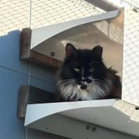 Photo of Bella