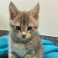 Photo of Valerie And Veronica