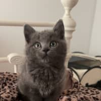 Photo of Ella Bleu
