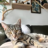 Photo of Rosie