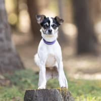 Photo of Mimi