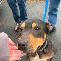 Photo of Schooner