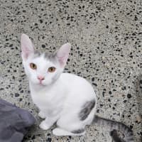Photo of Cheeky Boy