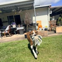 Photo of Roxie