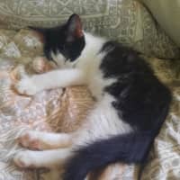 Photo of Peter