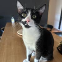 Photo of Marvin