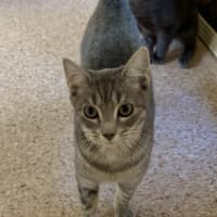 Photo of Bagel