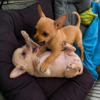 Photo of Lexi