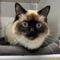 Photo of Barry Buttons