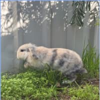 Photo of Dorothy