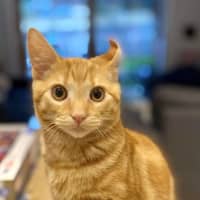 Photo of Ched & Ritz