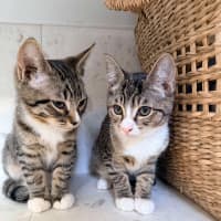 Photo of Gary & Harriet 