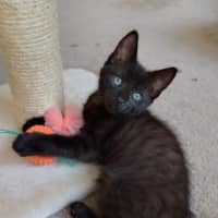 Photo of Jet