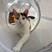Photo of Denae