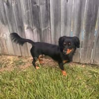 Photo of Mabel