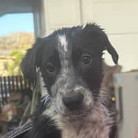 Photo of Sorren