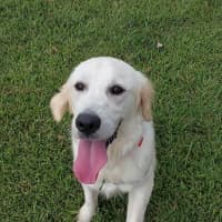 Photo of Little Man