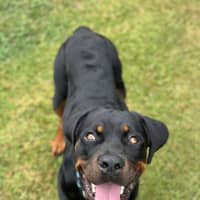 Photo of Gretchen