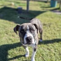 Photo of Cenric Riley