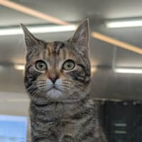 Photo of Clara
