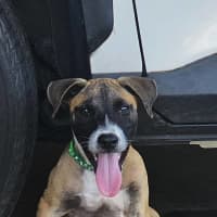 Photo of Eli