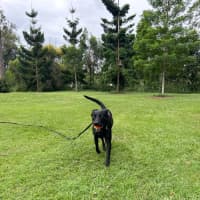 Photo of Sookie