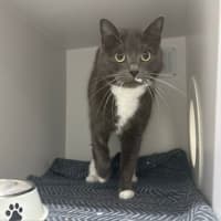 Photo of Amelie