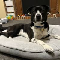 Photo of Mardook