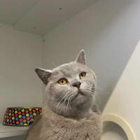 Photo of Oliver 
