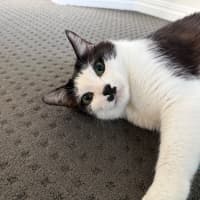 Photo of Astrid