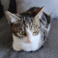 Photo of Gracie