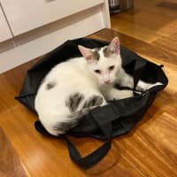 Photo of Wilson 🤍