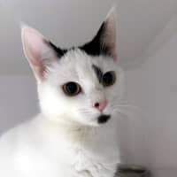 Photo of Inky Suk013287