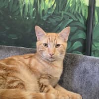 Photo of Maverick