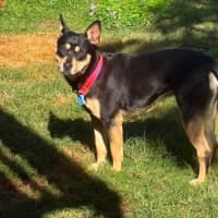 Photo of Tilly