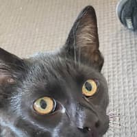 Photo of Sammy