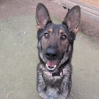 Photo of Aura