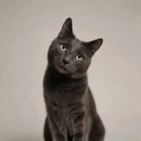 Photo of Max