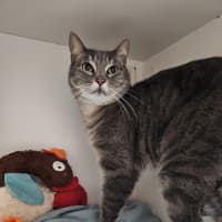 Photo of Jackie