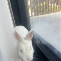 Photo of Barfi