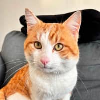 Photo of Big Red