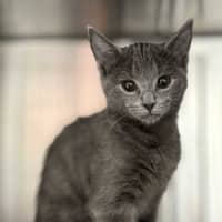 Photo of Dee   Located In Preston