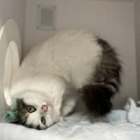 Photo of Mollly