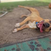 Photo of Betsy
