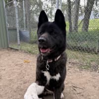 Photo of Kita