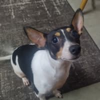 Photo of Harper