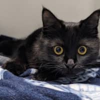 Photo of Elvira